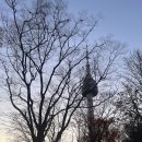 조엔커피 | 남산타워 엔그릴 디너코스 내돈내산 후기