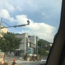 촌닭산오리 이미지