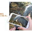 남원 사석리 마애여래좌상 이미지