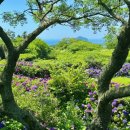 동광리-6 이미지