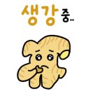 장원사주