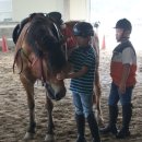 임자남초등학교 이미지