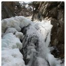 봄이오네 이미지