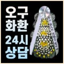 초정유진