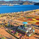 (축제) 낮엔 국화 향기, 밤엔 불꽃으로 반짝이는 가을 축제 이미지