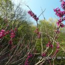 달전1리 경로당 이미지