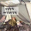 봄강아지 | 보성캠핑 애견동반캠핑 다녀온 후기 (봄캠핑 추천) 강아지랑 떠난 보성 봄캠핑 🌸 애견동반캠핑 완전 추천