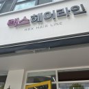 렉스헤어라인