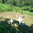 주식회사 누리숲 이미지