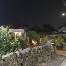 털보네민박 - 신안군 대광해수욕장길 174 | 털보네고양이 / 제주도 남원맛집 / 제주도맛집 / 서귀포시 맛집 / 제주도 일본식 덮밥 맛집 / 분위기...
