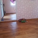 노본경로당 이미지