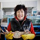 구룡포대게 이미지