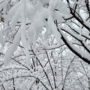 의료법인 대한불교조계종 승려복지 아미타불교요양병원 이미지