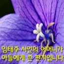 추석에 즈음하여 아들아 외1건 [허주작가님께서주신글] 이미지