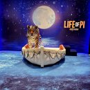 예스동물병원 | 💕후기&amp;리뷰_[강강추◇]연극<라이프 오브 파이 LIFE OF PI>라이선스초연_커튼콜영상_배우 박정민 황만익...