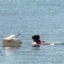 해남섬민박 이미지