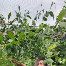 진월농장 이미지