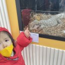 션샤인밀양(농촌테마공원) 이미지