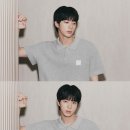 진