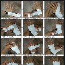 코리안 복싱클럽 이미지