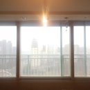 신영필름 네이버블로그