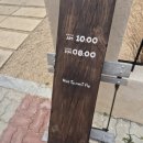 낙동강변로4-19 | [경주 / 노서동] 경주 룹펜 후기 | 터미널 근처 파이 맛집 LP카페 분위기 제대로