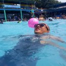 삼풍농장 이미지