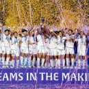 JS태양광발전소 이미지