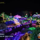 축령산아침 이미지