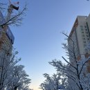 부여국제전기(주) | 2025년 1월 TRIANGLE+ 나만의 공기업 플랜 만들기 캠프 다녀온 후기/APEC SOM1 자원봉사 서류합격결과