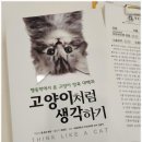 멜로우캣살롱 네이버블로그