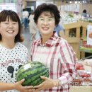 주식회사 도담