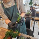 테라리움동물병원 | 🌿 광주원데이클래스 서구 데라스튜디오 — 아이와 함께하는 광주테라리움 체험기