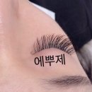 성락약국 네이버블로그
