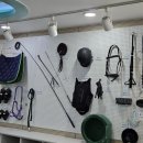 승마장 | 대구 체험 아이랑 대덕승마장 방문 후기