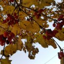 백사농장 이미지