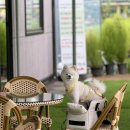 뿌꾸는 요리사 이미지