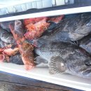 피싱랜드 이미지