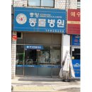 24시 수유 바른펫 동물의료센터 이미지