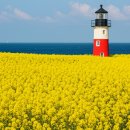 오방사우나 이미지