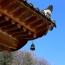 서일 농장 이미지