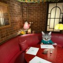 강서구-32 이미지