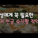 여성에게 꼭 필요한 약초 당귀 천궁 작약 숙지황의 효능[약초방송] 조회수 5.7만회 6년 전 이미지