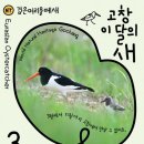 새 이미지