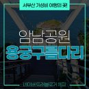 산뒤천 | 천 원짜리 가성비 부산 여행 &#39;송도 용궁 구름다리&#39; 스카이워크 후기