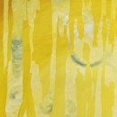 허상과 실상의 공존 이미지