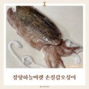 손질 걱정 없이 푸짐하게 즐긴 국산 손질 갑오징어 장항하늘마켓 손질갑오징어 후기