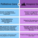 여명산업 | 23. 세계의 호스피스 병원