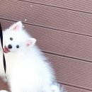 산밑집 농장 네이버블로그