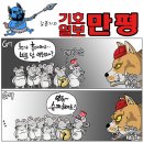 오늘의 시사만평 2023.05.20.(토) 이미지